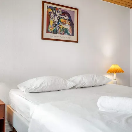 Vakantiehuis 4 Star In *